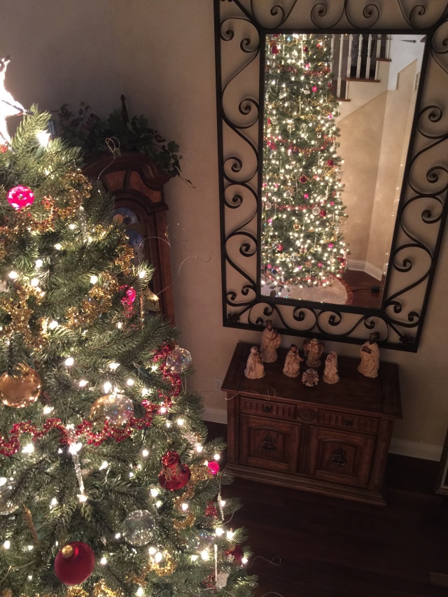 2015-11-29 08-54-09.jpg